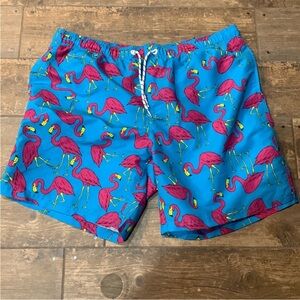 Men’s Flamingo Print Swim Shorts